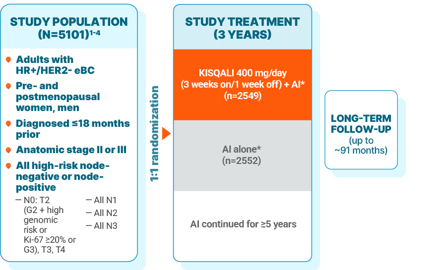 Study population in NATALEE (N=5101): pre- and postmenopausal women and men with anatomic stage II or III HR+/HER2- eBC, including high-risk node-negative or node-positive disease (N0: T2 [G2 + high genomic risk or Ki-67 ≥20% or G3], T3, T4; All N1; All N2; All N3). 1:1 randomization. Study treatment was given for 3 years: KISQALI 400 mg/day (3 weeks on/1 week off) with an AI* (n=2549) vs AI alone* (n=2552); the AI was continued for 5 years. The long-term follow-up is up to ~91 months.