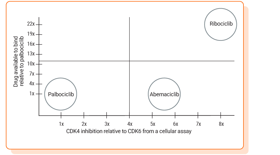 CDK4 inhibition relative to CDK6 from a cellular assay on X axis, drug available to bind relative to palbociclib on Y axis. Ribociclib is in the upper right corner.