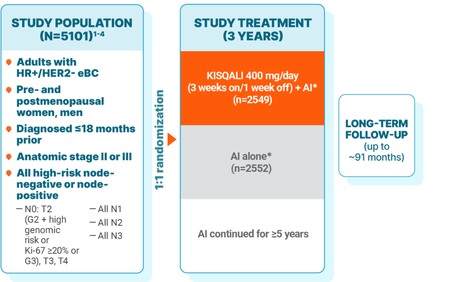 Study population in NATALEE (N=5101): pre- and postmenopausal women and men with anatomic stage II or III HR+/HER2- eBC, including high-risk node-negative or node-positive disease (N0: T2 [G2 + high genomic risk or Ki-67 ≥20% or G3], T3, T4; All N1; All N2; All N3). 1:1 randomization. Study treatment was given for 3 years: KISQALI 400 mg/day (3 weeks on/1 week off) with an AI* (n=2549) vs AI alone* (n=2552); the AI was continued for 5 years. The long-term follow-up is up to ~91 months.